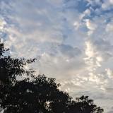 (Category: ) located in . Submitted by onthehunt (Listing ID 1379094211, Image 1). Description: .