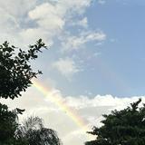 (Category: ) located in . Submitted by pooja1973 (Listing ID 1450554824, Image 1). Description: .