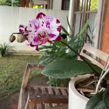 (Kategori: ) berada di . Dikirim oleh prelovedby3m (ID iklan 1145420684, Gambar 1). Deskripsi: .