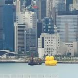 （分類：）位於 。 由 elisalpm 提交（商品編號 1157265405，圖片 1）。簡介： 。