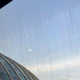 (Category: ) located in . Submitted by thanksforclicking (Listing ID 1278590109, Image 1). Description: .