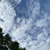 (Category: ) located in . Submitted by colourwheels (Listing ID 1378117825, Image 1). Description: .