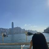（分類：）位於 。 由 crabperrry7692 提交（商品編號 1369273927，圖片 1）。簡介： 。