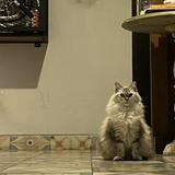 (Kategori: ) berada di . Dikirim oleh jualbarang555 (ID iklan 1277564326, Gambar 1). Deskripsi: .