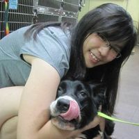 (Category: ) located in . Submitted by clara_kfmz (Listing ID 1379066938, Image 1). Description: .