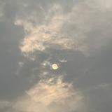 由 b09819770129772 (刊登 ID 1349949100，圖片 1) 提交，位於 的 (類別：)，說明：。