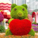 （分類：）位於 。 由 fbonhyc 提交（商品編號 1384542145，圖片 1）。簡介： 。