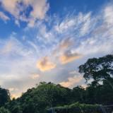 (Category: ) located in . Submitted by flower.clouds (Listing ID 1379858471, Image 1). Description: .