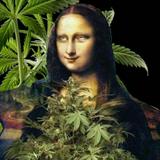 由 linlinlinlinlinlinyyy (刊登 ID 1386693393，圖片 1) 提交，位於 的 (類別：)，說明：。