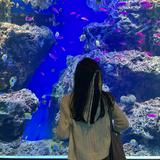 (Category: ) located in . Submitted by blu_catt (Listing ID 1378938828, Image 1). Description: .