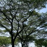 (Kategori: ) berada di . Dikirim oleh prlvdbyyjh (ID iklan 1297870010, Gambar 1). Deskripsi: .