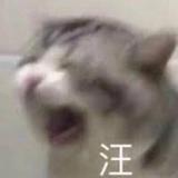 由 zizi.yan (刊登 ID 1381808358，圖片 1) 提交，位於 的 (類別：)，說明：。
