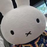 (Category: ) located in . Submitted by lindamehmeh (Listing ID 1251788648, Image 1). Description: .