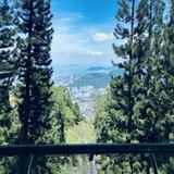 (Category: ) located in . Submitted by melvischong (Listing ID 1386321332, Image 1). Description: .