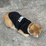 (Category: ) located in . Submitted by mincap (Listing ID 1386095419, Image 1). Description: .