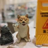 （分類：）位於 。 由 casta_leung 提交（商品編號 1348813851，圖片 1）。簡介： 。