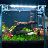 (Category: ) located in . Submitted by fishmonger_ (Listing ID 1370024617, Image 1). Description: .