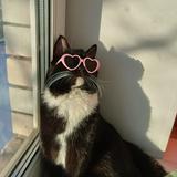 (Category: ) located in . Submitted by miss.a486 (Listing ID 1454283872, Image 1). Description: .