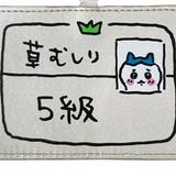（分類：）位於 。 由 whatistheshop 提交（商品編號 1381355652，圖片 1）。簡介： 。
