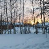 (Category: ) located in . Submitted by nikang (Listing ID 1271042186, Image 1). Description: .