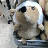 (Category: ) located in . Submitted by wrenen (Listing ID 1382560256, Image 1). Description: .