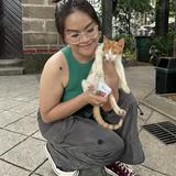 (Kategori: ) berada di . Dikirim oleh pokribs (ID iklan 1191800320, Gambar 1). Deskripsi: .