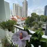 (Category: ) located in . Submitted by purnima1412 (Listing ID 1397449823, Image 1). Description: .
