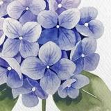 （分類：）位於 。 由 kk_forever 提交（商品編號 1368438561，圖片 1）。簡介： 。