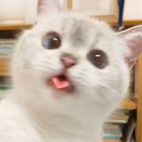(Category: ) located in . Submitted by lorara (Listing ID 1094185744, Image 1). Description: .