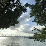 (分類:)位於 。 由 ccsell94934 提交(商品編號 1460719135,圖片 1)。簡介: 。