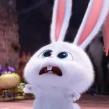 （分類：）位於 。 由 rolling._.snowball 提交（商品編號 1352065788，圖片 1）。簡介： 。