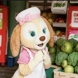 （分類：）位於 。 由 nvalo 提交（商品編號 1309017688，圖片 1）。簡介： 。