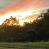 (Category: ) located in . Submitted by ggjkmn (Listing ID 1348399104, Image 1). Description: .