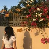 (Category: ) located in . Submitted by madymldgldrs (Listing ID 1441936659, Image 1). Description: .