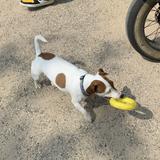(Category: ) located in . Submitted by heilo (Listing ID 1380126088, Image 1). Description: .