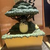 （分類：）位於 。 由 myshp 提交（商品編號 1365231432，圖片 1）。簡介： 。