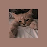 (Category: ) located in . Submitted by floowerry (Listing ID 1451004443, Image 1). Description: .