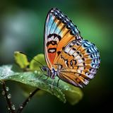（分類：）位於 。 由 kklikes 提交（商品編號 1292989360，圖片 1）。簡介： 。