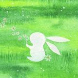 (Category: ) located in . Submitted by little__bunny (Listing ID 1377760231, Image 1). Description: .