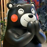 （分類：）位於 。 由 kkkken1234 提交（商品編號 1373666270，圖片 1）。簡介： 。