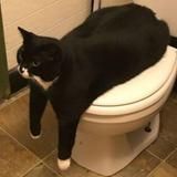 (Category: ) located in . Submitted by logansim (Listing ID 1354262486, Image 1). Description: .