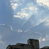 由 may33221 (刊登 ID 1383783287，圖片 1) 提交，位於 的 (類別：)，說明：。