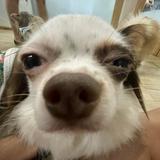 (Category: ) located in . Submitted by liosalvationarmy (Listing ID 1312995496, Image 1). Description: .