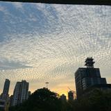 (分類:)位於 。 由 ccc_ppp_0701 提交(商品編號 1457656805,圖片 1)。簡介: 。