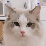 （分類：）位於 。 由 raymond_l 提交（商品編號 1104484788，圖片 1）。簡介： 。
