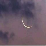 (Category: ) located in . Submitted by ayesha_khan (Listing ID 1243904047, Image 1). Description: .