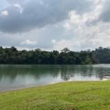 (Category: ) located in . Submitted by gg55321 (Listing ID 15785421, Image 1). Description: .