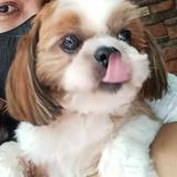 (Category: ) located in . Submitted by nlightened61705 (Listing ID 1465004272, Image 1). Description: .