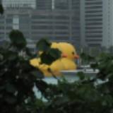 （分類：）位於 。 由 waiho20061125 提交（商品編號 1381685407，圖片 1）。簡介： 。