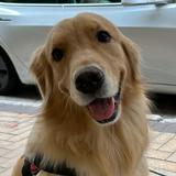 （分類：）位於 。 由 DeeDee123 提交（商品編號 1366580112，圖片 1）。簡介： 。